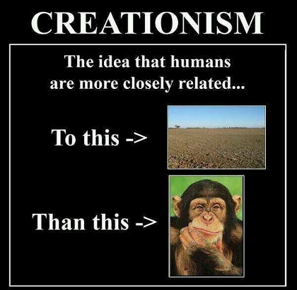 Essay creationism vs evolutionism
